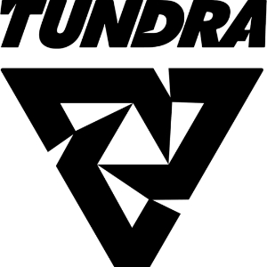 tundra战队队员-dota2tundra战队成员资料介绍