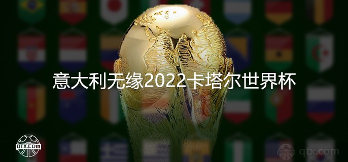 足协主席谈意大利国家队无缘2022卡塔尔世界杯：现在伤口还在