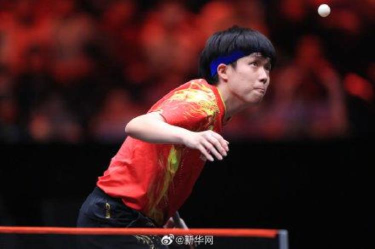 WTT世界杯决赛王楚钦将与张本智和争夺男单冠军