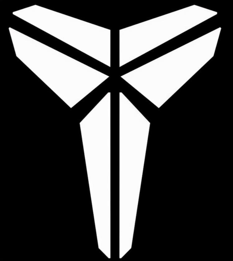 东契奇球鞋logo「东契奇晒最新专属logo可循环利用标志盘点NBA球星个人Logo」