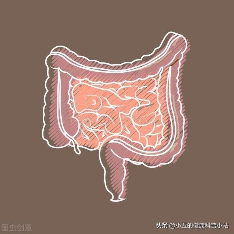 便秘吃比沙可啶肠溶片可以长期吃吗「比沙可啶是治疗便秘的常用药不能长期服用服用时应注意4点」