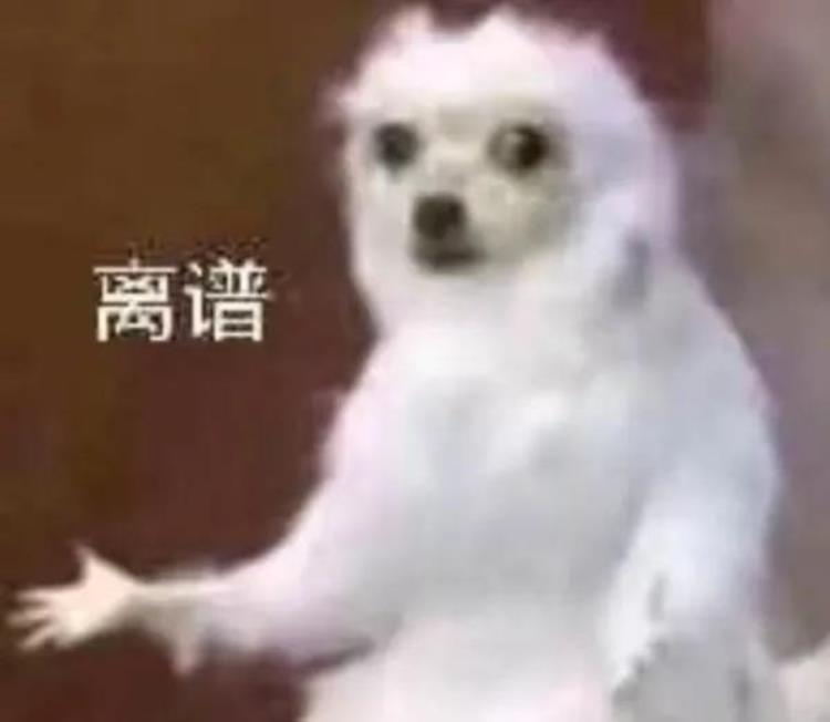 哈兰德怎么了「不吐不快哈兰德这么快就濒临过气了」