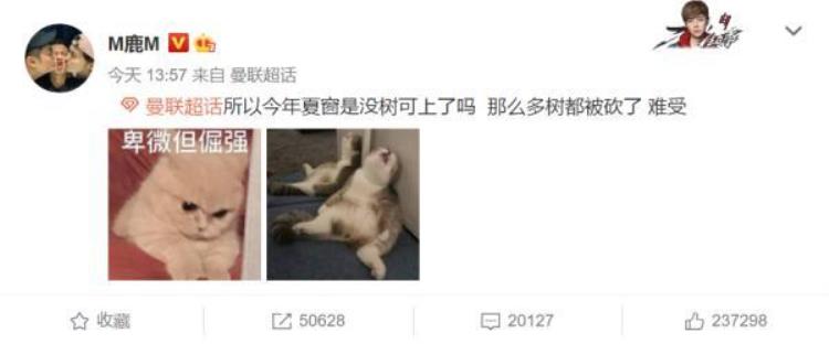 哈兰德怎么了「不吐不快哈兰德这么快就濒临过气了」