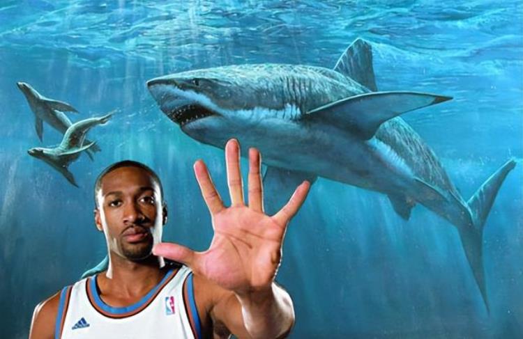 NBA球星养的宠物奥尼尔养凶猛白虎拉塞尔的宠物是猎豹