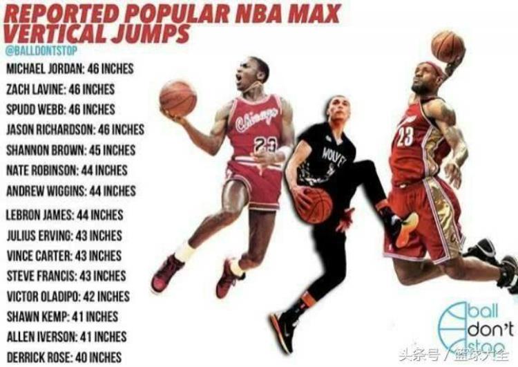 NBA史上10大最强垂直弹跳球员人类极限11684cm