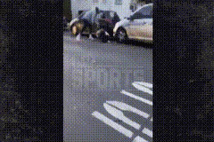 被篮球砸脸「NBA总冠军球星参加抗议游行被砸车抓住砸车少年暴揍」