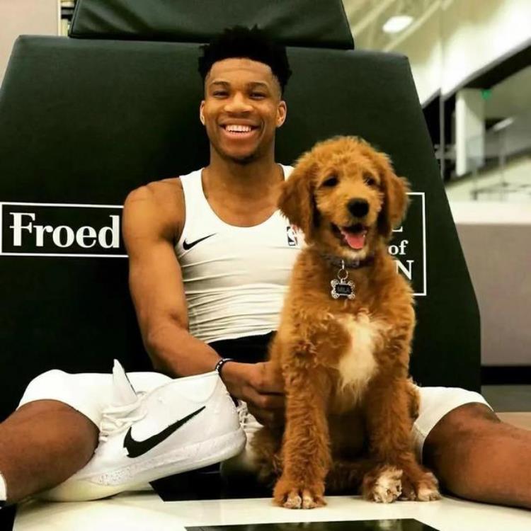 圣诞头像NBA「23期NBA高清美式篮球头像喜欢的认领」