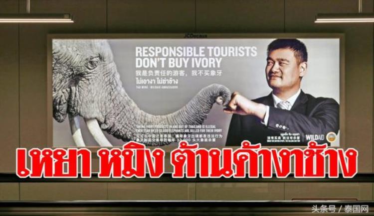 姚明周杰伦在泰国素万那普机场的公益广告你看到了吗