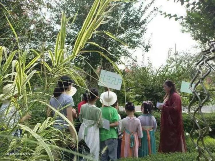 儿童友好南北童乐|寿安镇举办公益慈善日川西植物编艺节活动