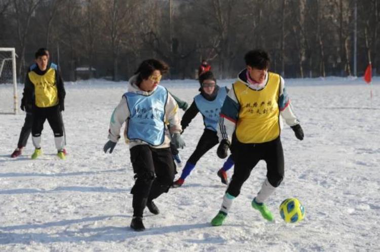 哈工大机器人比赛「哈工大雪地足球赛闪亮登场机器人和女将抢镜」