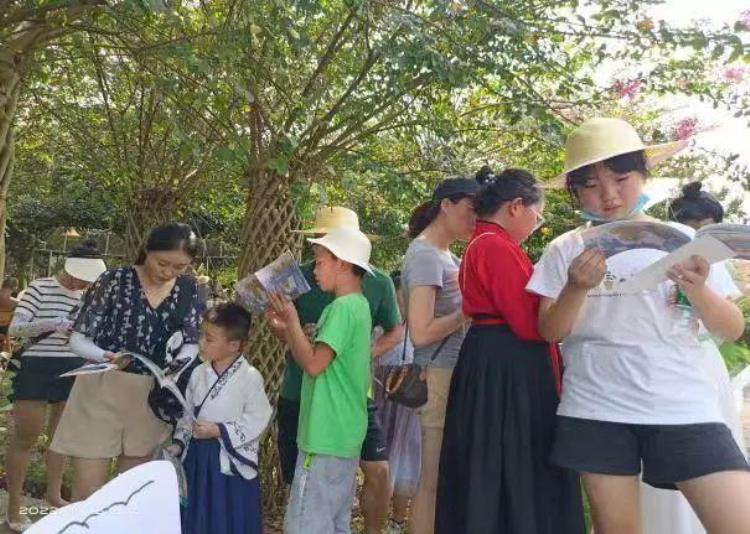 儿童友好南北童乐|寿安镇举办公益慈善日川西植物编艺节活动