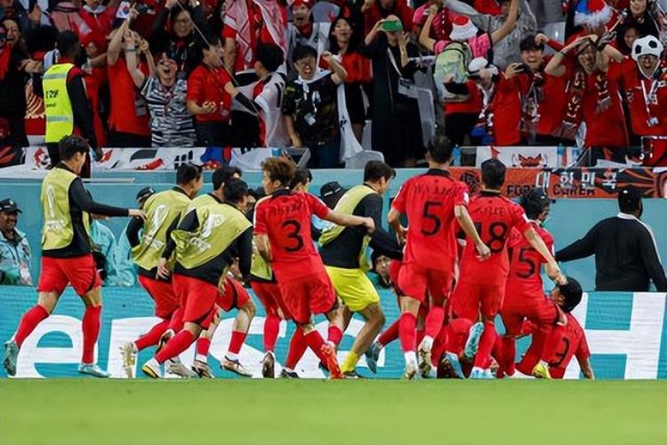 韩国媒体怒了裁判泰勒声名狼藉臭名昭著让卡塔尔世界杯蒙羞