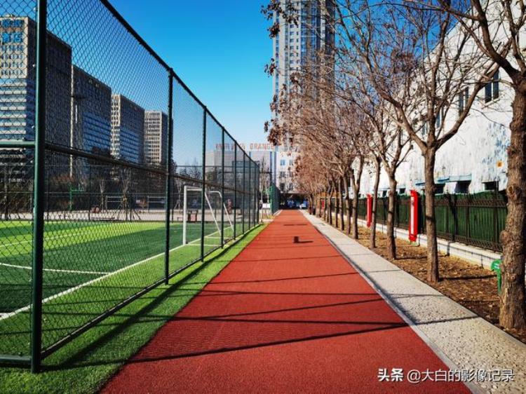 保定市哪个公园可以打乒乓球「保定有个体育公园可以打篮球踢足球打羽毛球乒乓球」