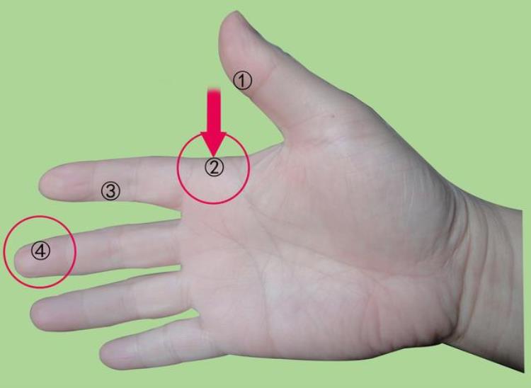 跟高手学乒乓合理的握拍方法「跟高手学乒乓合理的握拍方法」