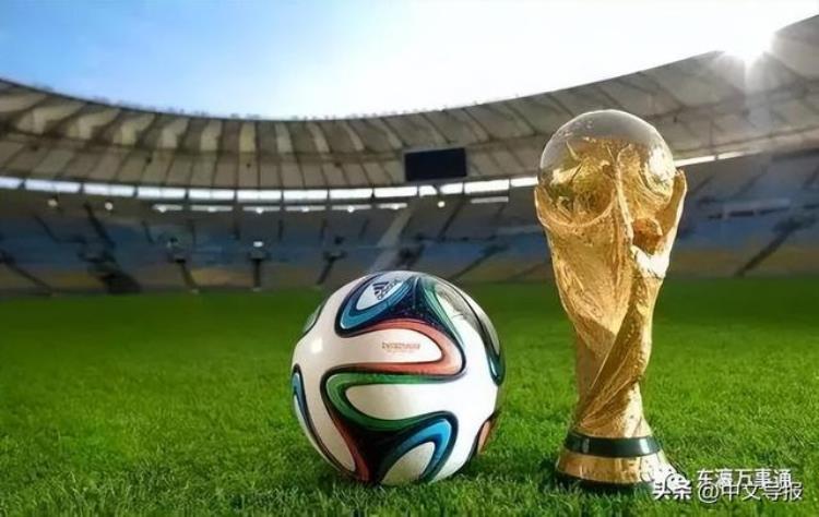 卡塔尔世界杯亚洲进步欧洲痛苦南美梦想捧杯