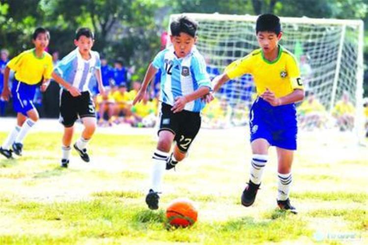浸润学生的人生底色湖州市扎实推进青少年校园足球