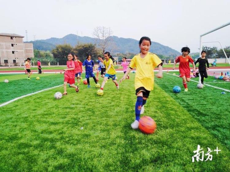 绿茵场上再起航梅县区探索足球改革发展新举措助力梅州创建中国足球特区