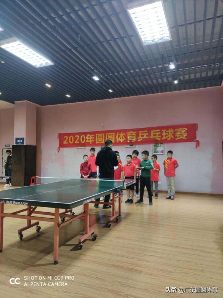 邵阳市乒乓球比赛「广东肇庆鼎湖最强12人少年乒乓球赛」
