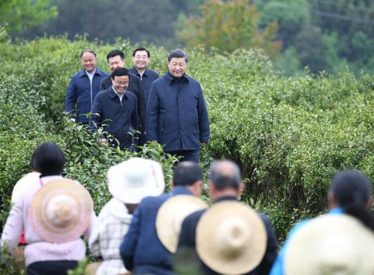 特稿新征程领路人习近平