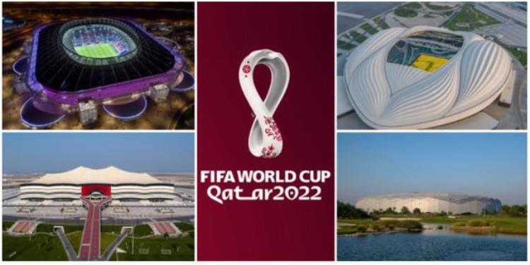 词语|2022世界杯观球必备词汇