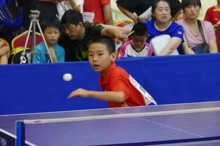 玉泉杯第二十八届全国九龄童乒乓球比赛在济收官