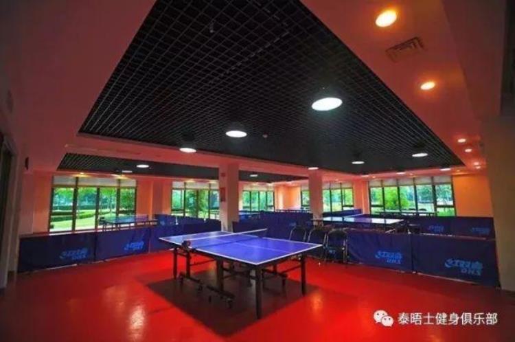 松江大学城乒乓球培训「招生来松江泰晤士小镇学乒乓球」