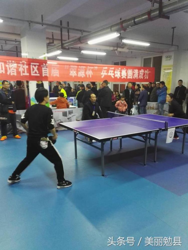 勉县财政局积极参加34翠源杯34首届乒乓球赛
