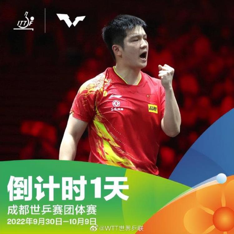 CCTV5直播世乒赛41横扫日本张本智和夺冠世界第一樊振东冲冠