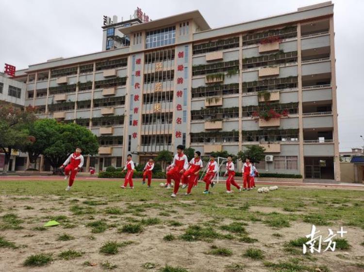 优秀足球特色学校校长「廉江五小校园足球展风采特色教育促提升」