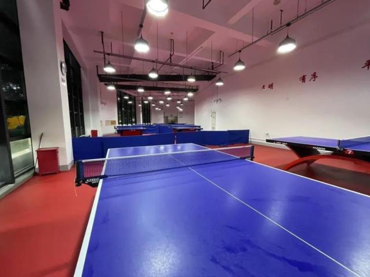 普陀乒乓球馆「普陀这个乒乓房竟从社区的变成了我家的原来是因为」