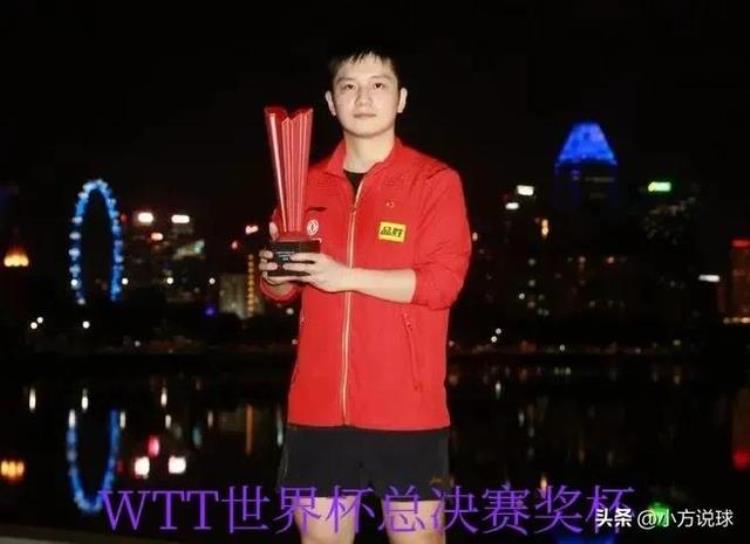 樊振东参加过几次世乒单打「中国男乒的一大争议点樊振东究竟是几次世界单打冠军」