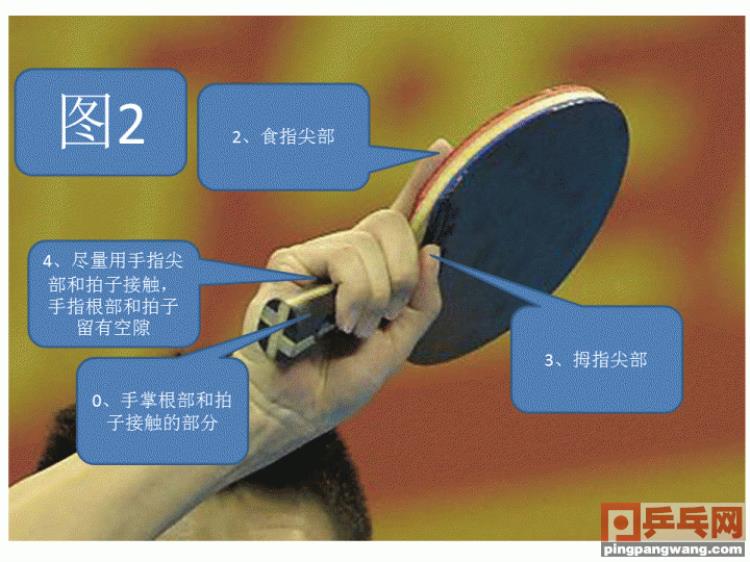 如何利用物理学原理提高乒乓球技术「乒乓球教学依据人体工程学让你的握拍更科学打球更轻松」