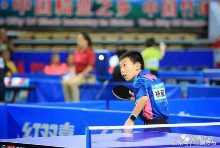 衡阳乒乓球冠军「5块金牌南湖区这次的乒乓球成绩单惊艳了全省」