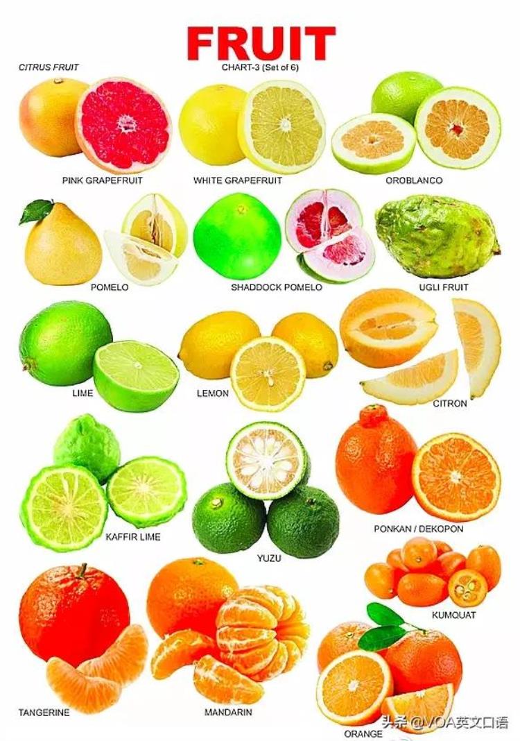 橘子是不是orange「记住橘子不是orange别再乱叫了」