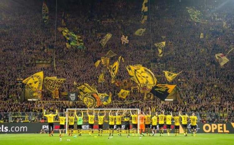 多特蒙德足球队「曾经的德国足球统治者坐拥魔鬼主场的大黄蜂多特蒙德」