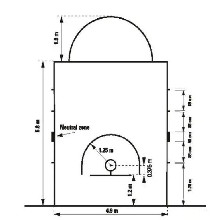 篮筐高度为什么是3米05「篮筐为什么高305米三分线多远满满干货讲解篮球小知识」