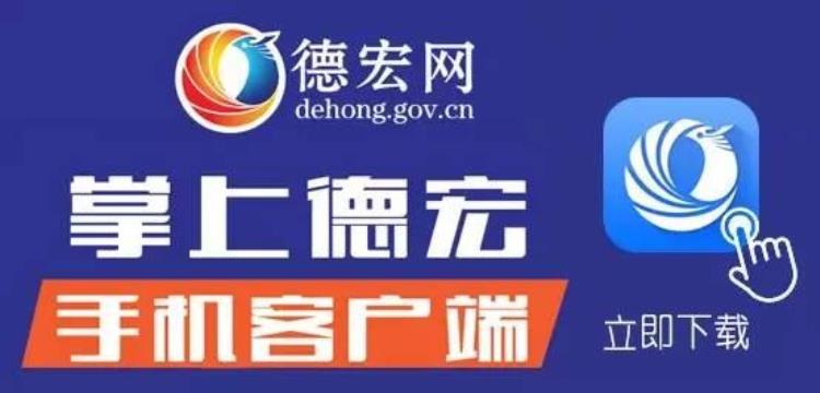 云南东盟国际农产品物流有限公司「24支球队鏖战德宏云南东盟国际足球赛开幕附比赛日程」