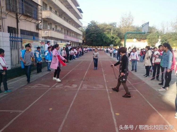 小度秋季运动会「洪小秋季运动会」