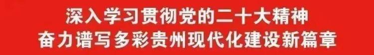 紫云村村霸「紫云县域乡村足球赛事顺利落幕」