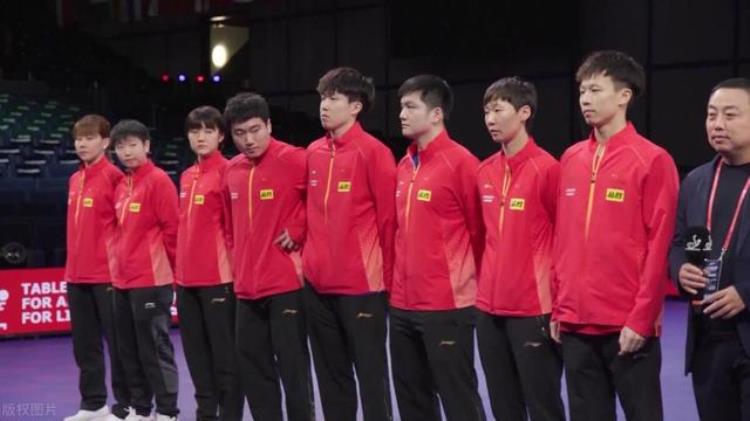 国乒满贯选手「中国乒乓电影票房最新」