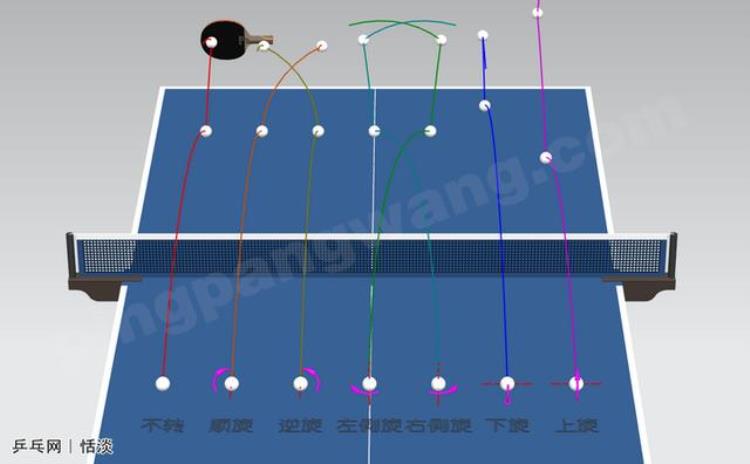 乒乓球的旋转和弧线之间的关系「旋转与弧线之间的关系不明白看完这7张图轻松理解乒乓球旋转」