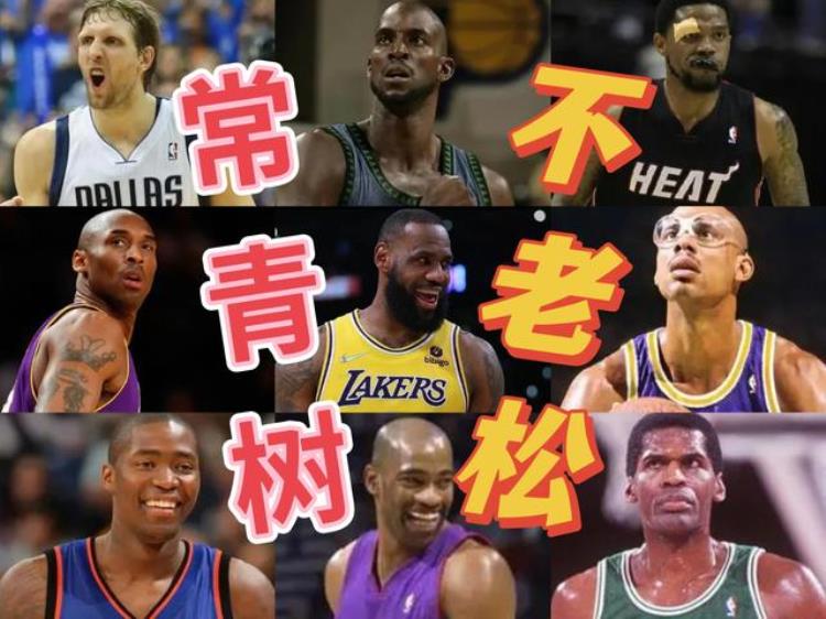 常青树不老松NBA历史上打过第20个赛季的球员们表现如何