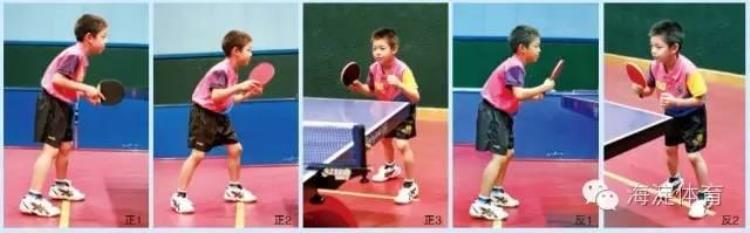 少儿乒乓球启蒙「体育教学乒乓球少儿训练系列之基础篇」