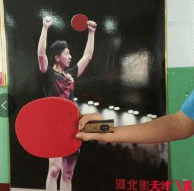 乒乓球系统训练教练教学手册第一集也适合业余球友自学