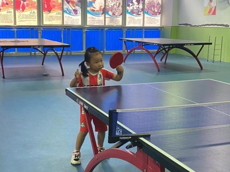 新余五岁女孩打乒乓球「新余五岁萌娃乒乓球技惊艳全网不怕苦每天练球6小时」