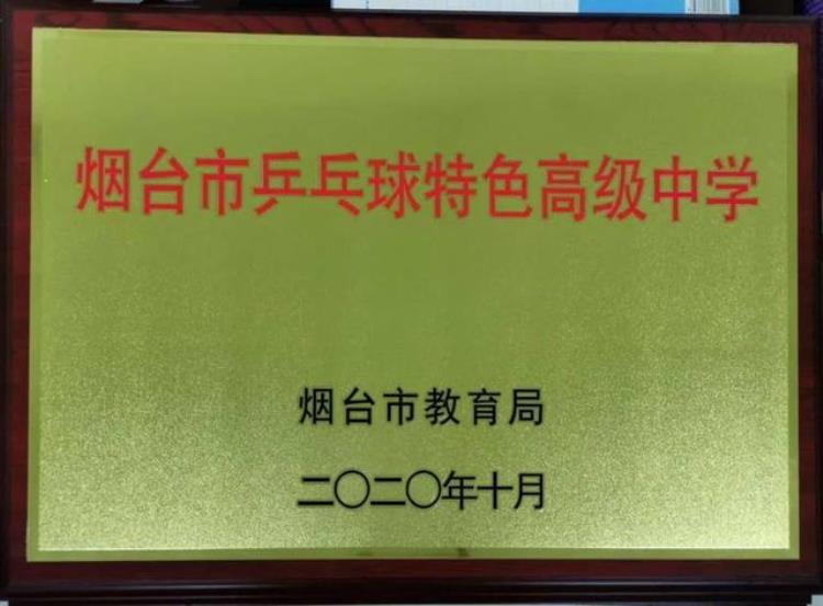 烟台二中体育特长生招生简章2021「烟台二中2022年音体美特长生招生简章」