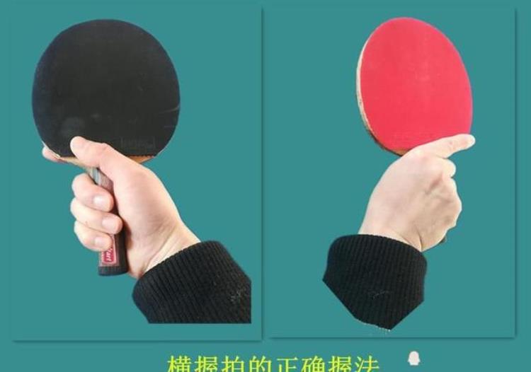 知识科普|乒乓球的握拍方法