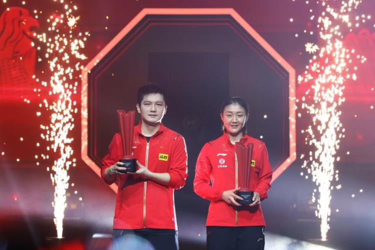 国乒女队竞争愈发激烈但对中国球迷却是稳稳的幸福