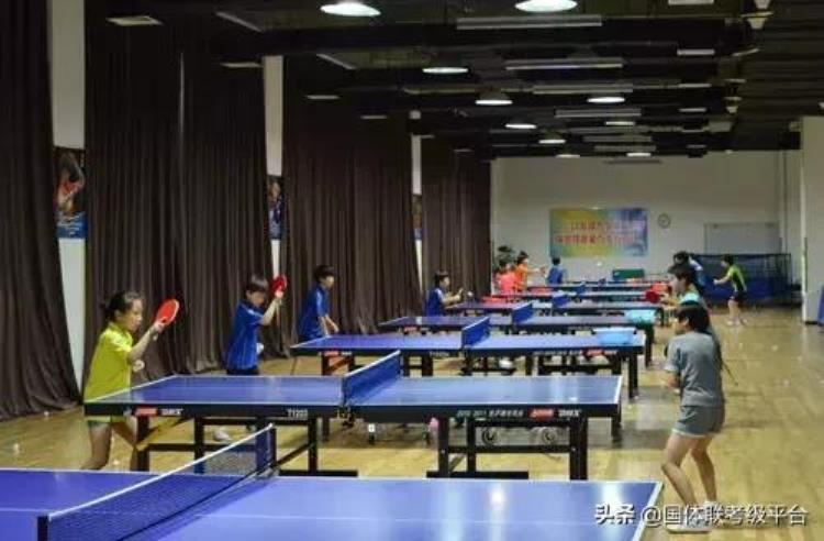 青岛鲁能乒乓球基地对外培训「国体联为培养乒乓球苗子暑期与鲁能青岛基地开展集训营」