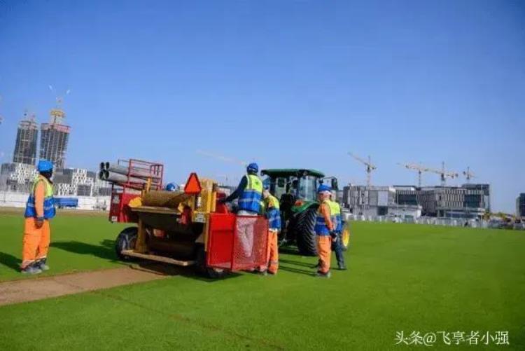 世界杯足球场草坪「真的是开眼了连世界杯赛场上使用的草坪都是满满的高科技」